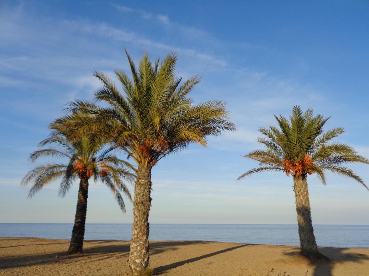 Precioso Apart Sur Y Norte Cerca Playa Y Centro - Cascadas De La Marina Denia Exterior photo